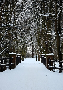 橋,雪,冬天白