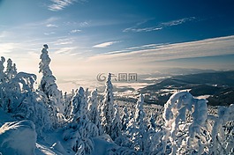 景观,山,丘陵