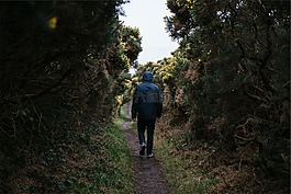 森林,人类,人
