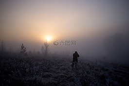 太陽,霧,戶外