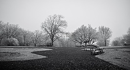 公園,冬天,冷
