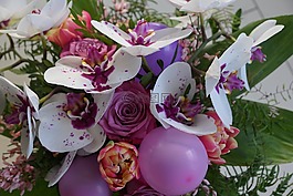 鮮花,斯特勞斯,蘭花