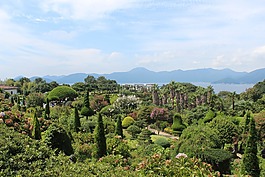 海,岛,森林