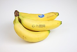 香蕉,從,喀麥隆