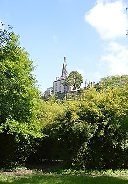 鐘塔,花園,綠色