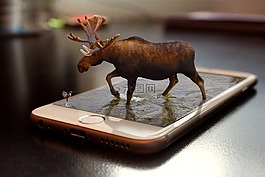 iphone,駝鹿,潤飾