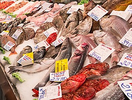 魚,海,海鮮