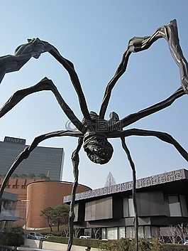 蜘蛛,工程,室外工作