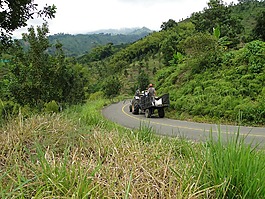 農業(yè),quindìo,哥倫比亞