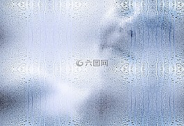 女子,肖像,女性