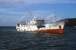 小船,中國船,海