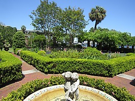 花園,噴泉,自然