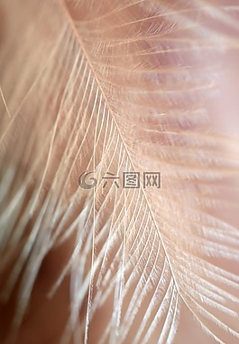 性質(zhì),模式,背景