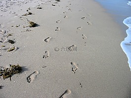 足跡,海灘,沙