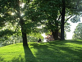 放寬,閱讀,公園