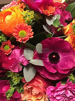 花,花的,植物區(qū)系