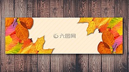 秋季,木,基金