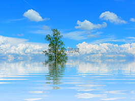樹(shù),湖,鏡像