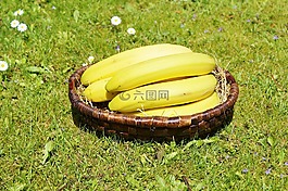 香蕉,水果,食品