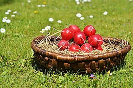 蘿卜,蔬菜,食品