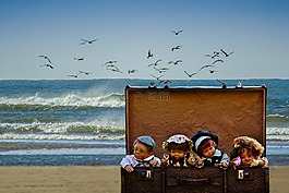 行李,玩偶,海滩