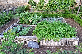 菜園,中世紀(jì)的花園,城堡 de castelnaud