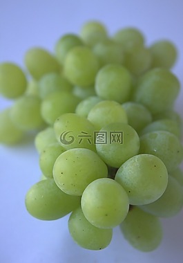 葡萄,綠色,食品