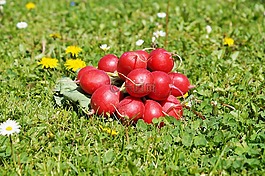 蘿卜,蔬菜,食品