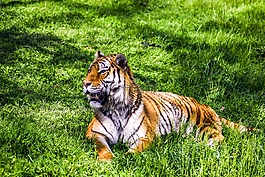動(dòng)物園,paugres,阿爾代什