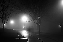 公園,夜,路徑