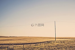 農(nóng)村,字段,草