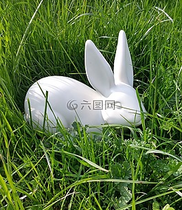 復(fù)活節(jié),野兔,兔