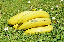 香蕉,水果,食品