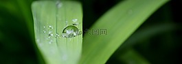 性质,水,湿法