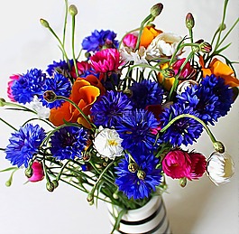 花卉,花束,馬克花