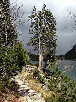 波蘭,山,冬奧會