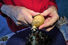 马铃薯,皮,手