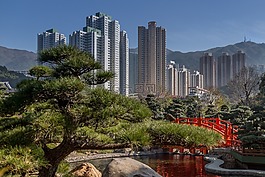 摩天大樓,樹,城市