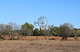 马洛卡,风车,老磨房