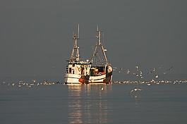 漁船,波羅的海,海
