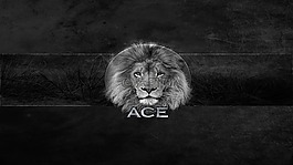 設(shè)計,獅子,wallpapper