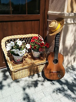 吉他,鮮花,花盆
