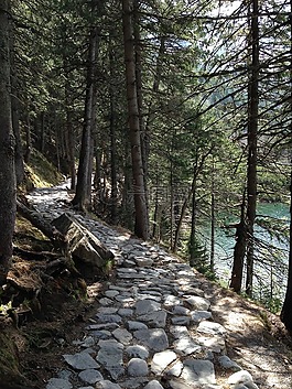 冬奧會,山,遠足徑