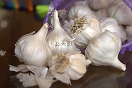 大蒜,新鮮,香料