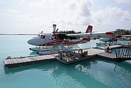 跨,馬爾代夫,航空公司