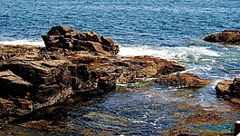 缅因州,海洋,海岸