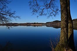 illmensee,水,春天