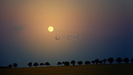 月球,夜,樹木