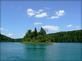 岛,树,湖