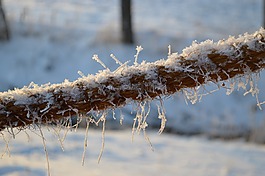 冬天,霜,雪